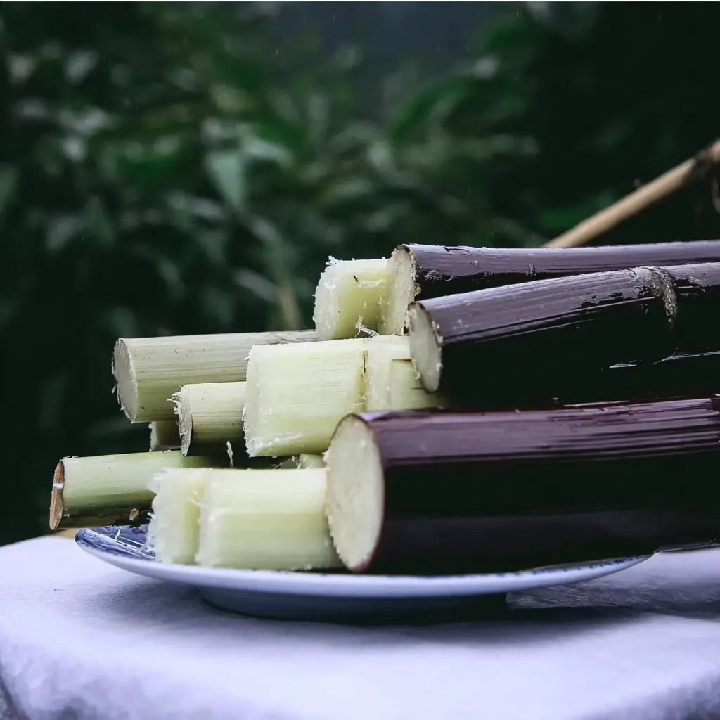 🌿Premium High-Sucrose Sugarcane Seeds | 1000+ Non-GMO Hybrid Sugar Cane Seeds for Home Gardening 🍬